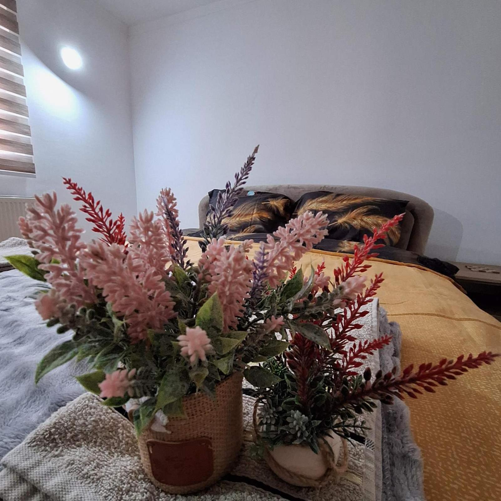 פוצ'ה Apartment "Mira" מראה חיצוני תמונה